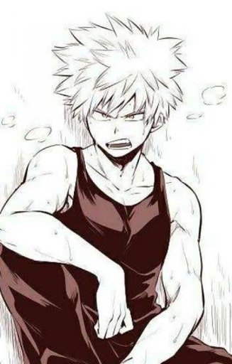 Dynamite Touch ~ Kacchan X Reader | Wiki | My Hero Academia Amino