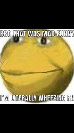 Image result for bro that was mad funny, im literally wheezing rn