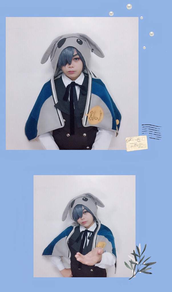 ciel rabbit