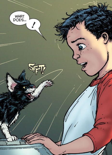 Les animaux de Damian | DC Comics Place Amino