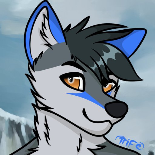 Blue Fox | Wiki | Furry Amino