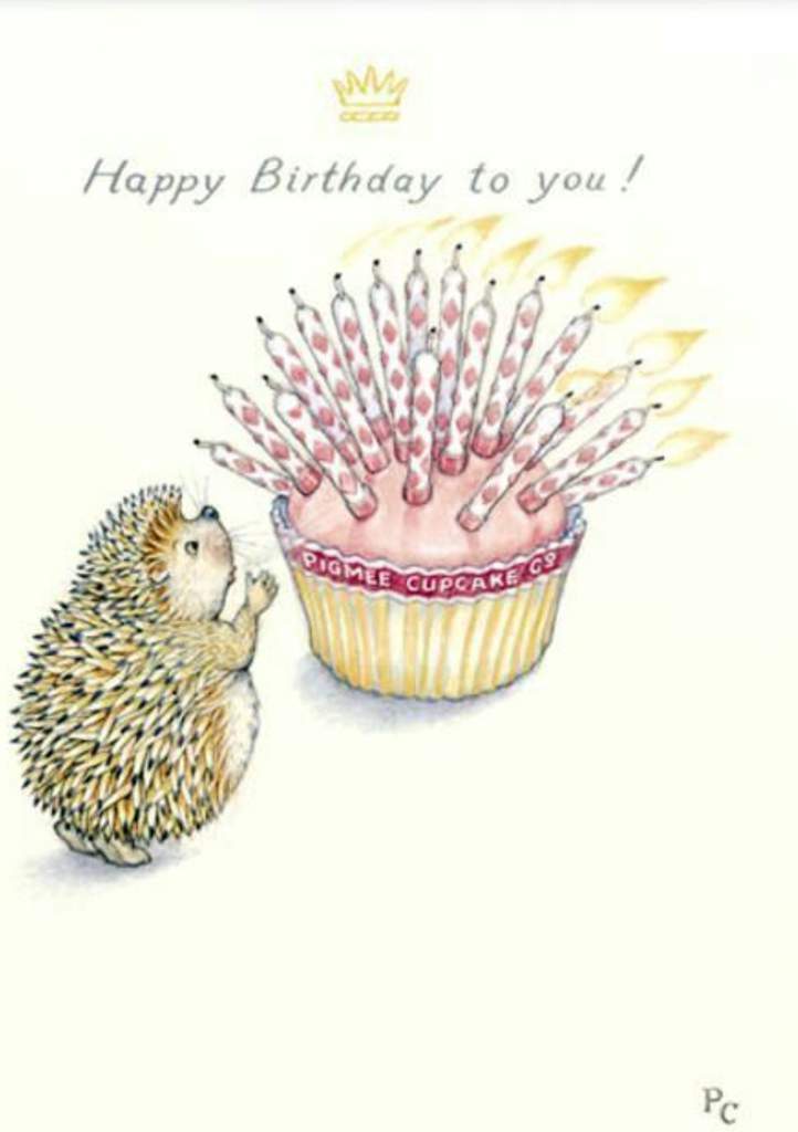 Открытки день ежика. Милая открытка с днем рождения. Поздравления с днём рождения Ежик. Милые открытки с днем рождения. Открытки с ежиками с днем рождения.