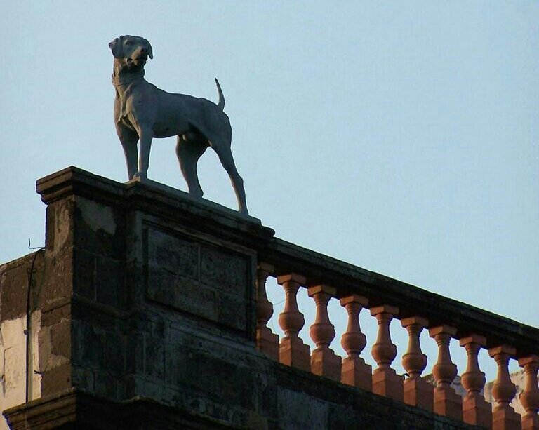 🐕 La Casa de los Perros 🐕 Paranormal Amino 🐕 La Casa de los Perros 🐕 Paranormal Amino