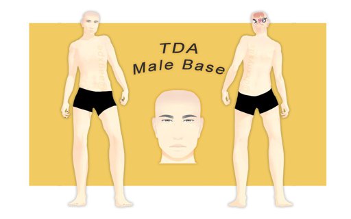 mmd male base