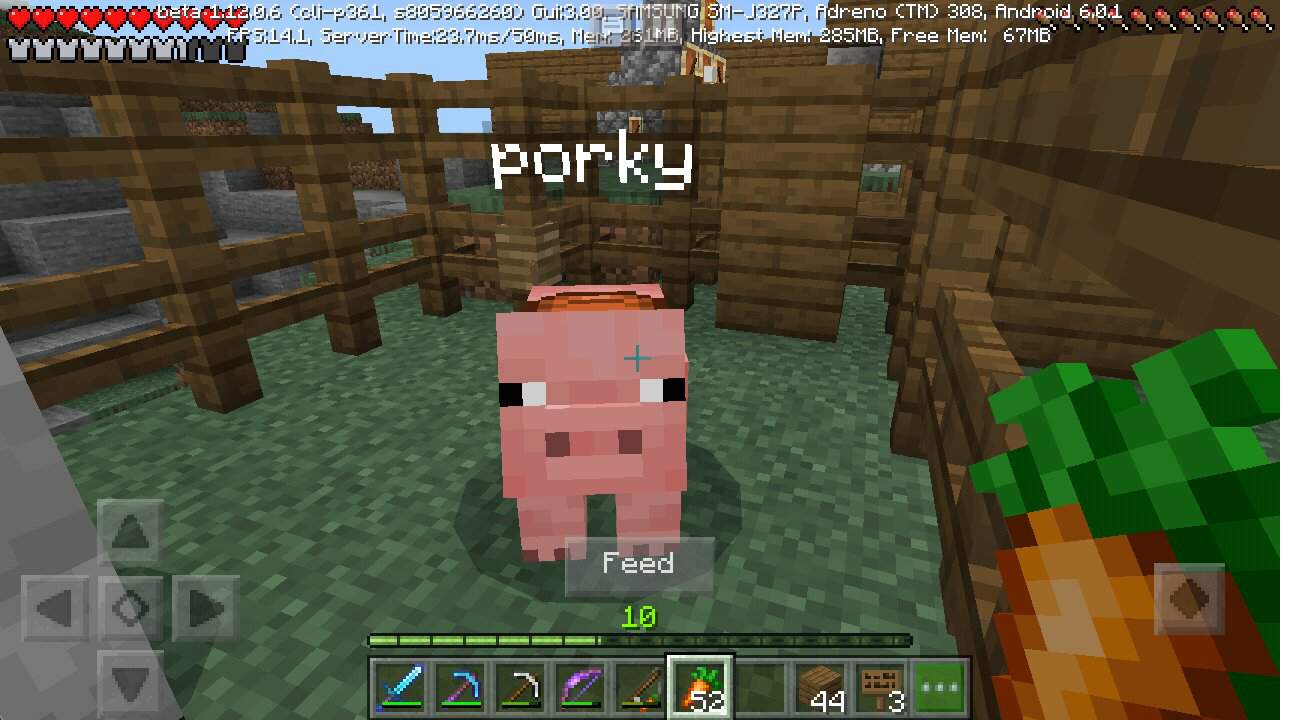 So my pig porky got struck by lightning | Minecraft Amino