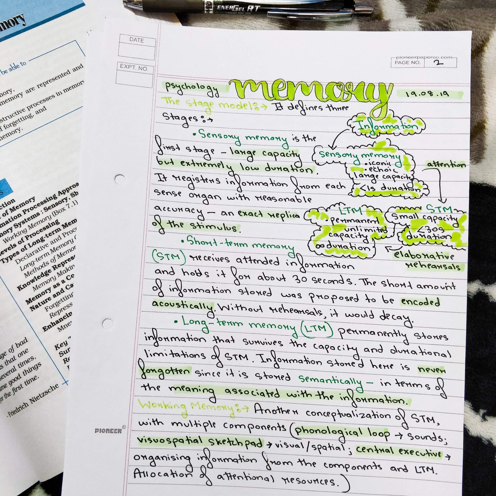 Human Memory Notes{Full} | Psych Notes | Studying Amino Amino