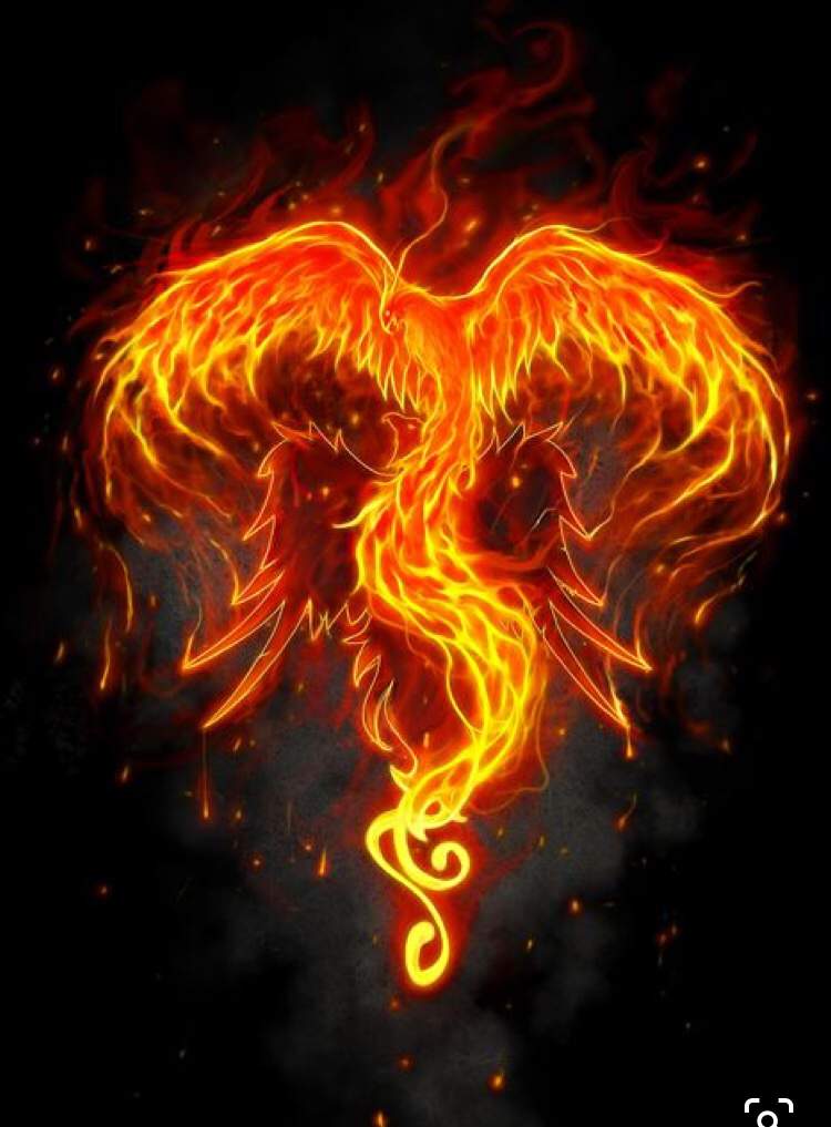 Creature Feature: The Fiery Phoenix | Pagans & Witches Amino