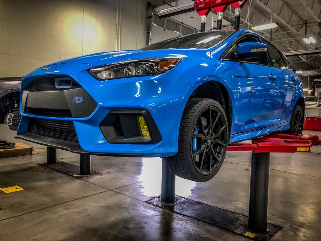 focus rs rally armor mud flaps