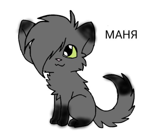 About | Милашка Фури Amino