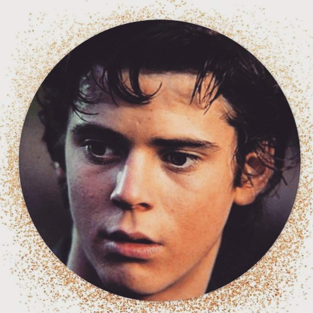 ponyboy-the-outsiders-amino-amino