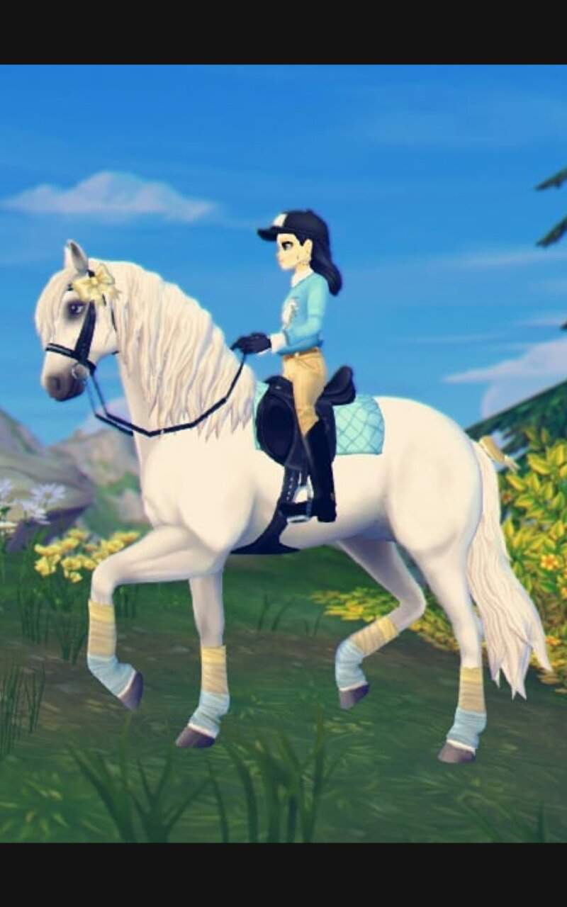 Meet My Horse Sister! | Star Stable Online Amino