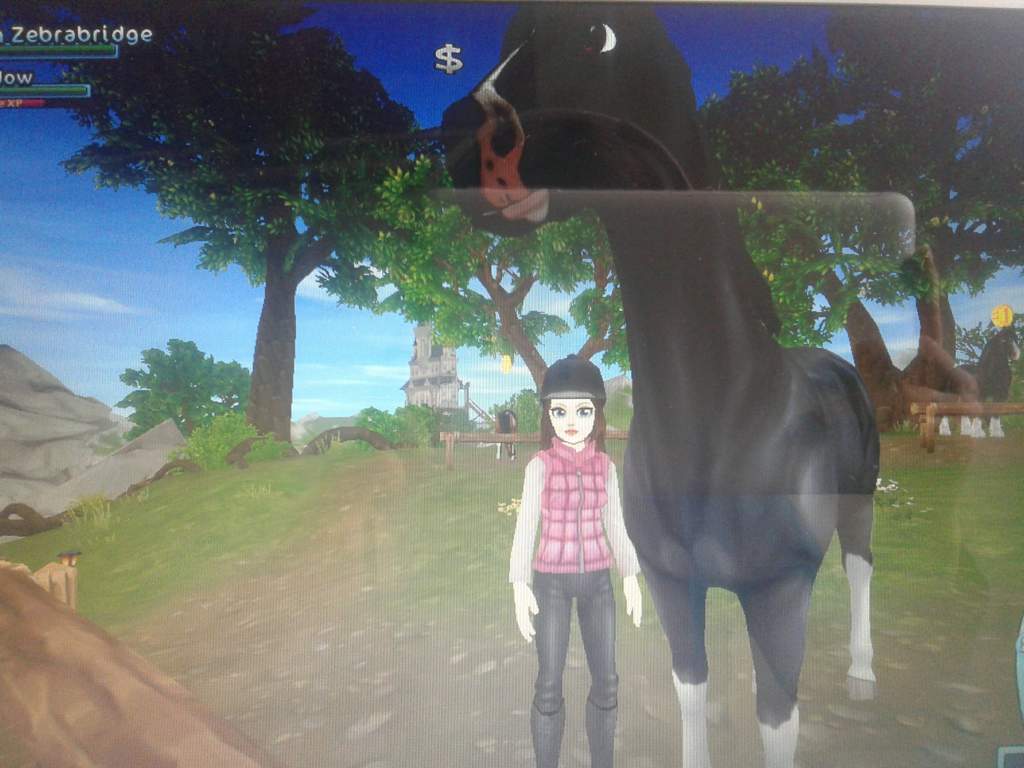 Sooo here's a pic of me on sso.. | Equestrian Amino