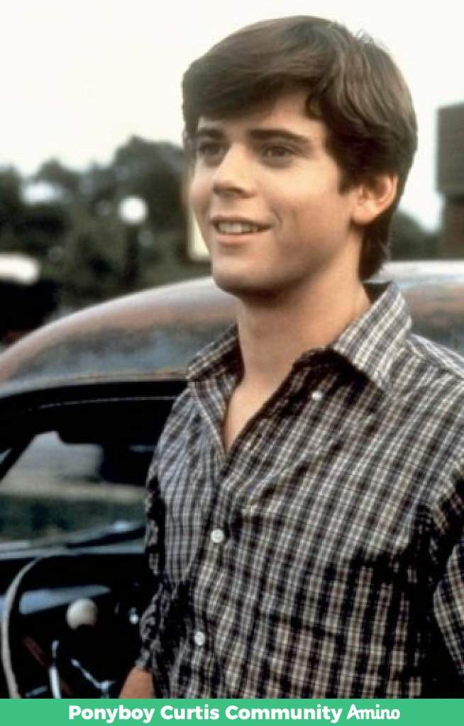 ponyboy-the-outsiders-amino-amino