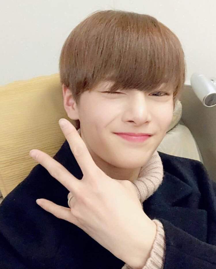 jeongin plush