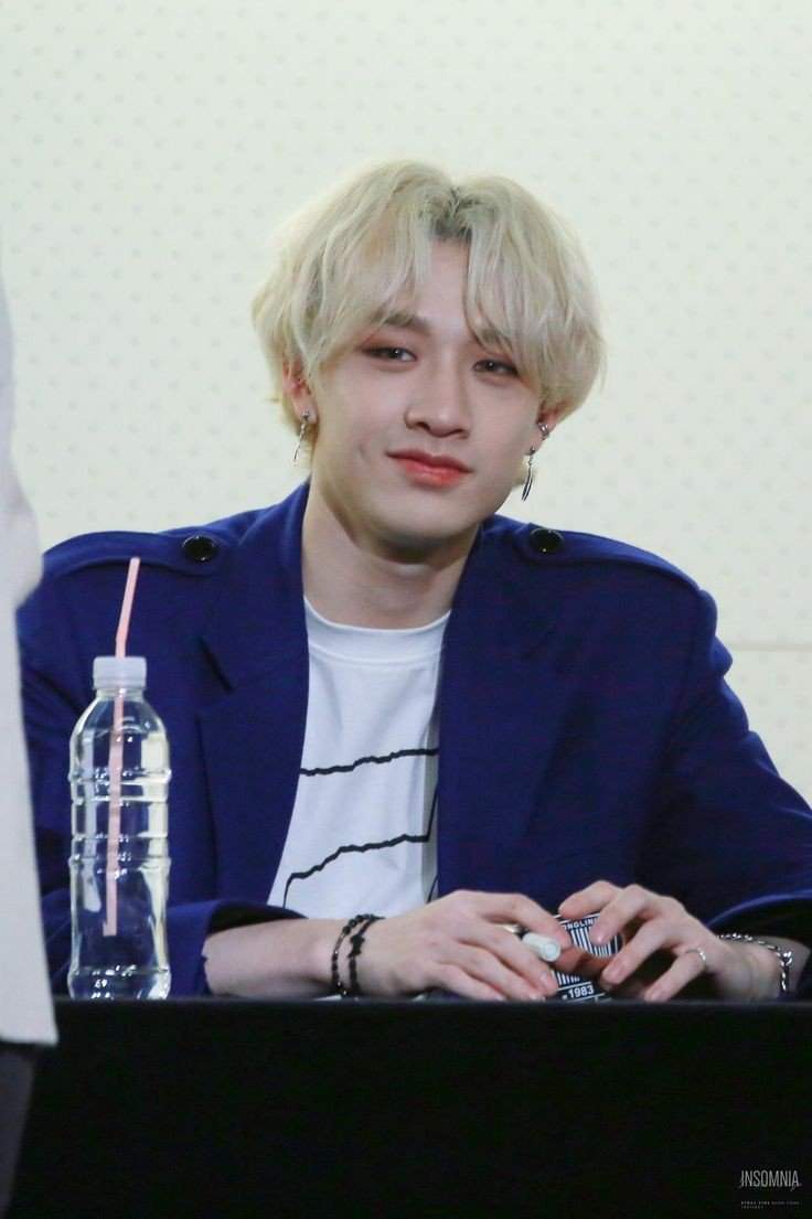 Christopher BangChan | Wiki | •Stray Kids• Amino