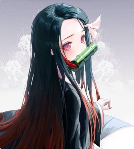 Nez Demon Slayer Kimetsu No Yaiba Amino