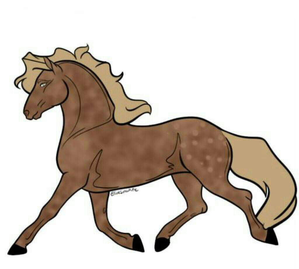 Duke | Wiki | SSOTC Amino 🐎 Amino