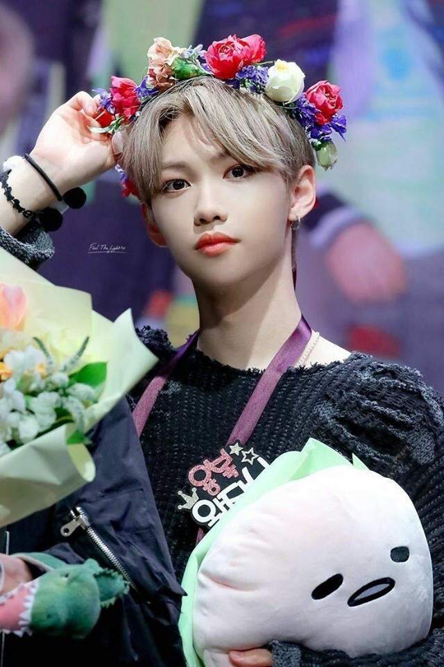 Razones para amar a Felix | •Stray Kids• Amino