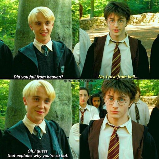 TOTALLY! | Drarry Amino