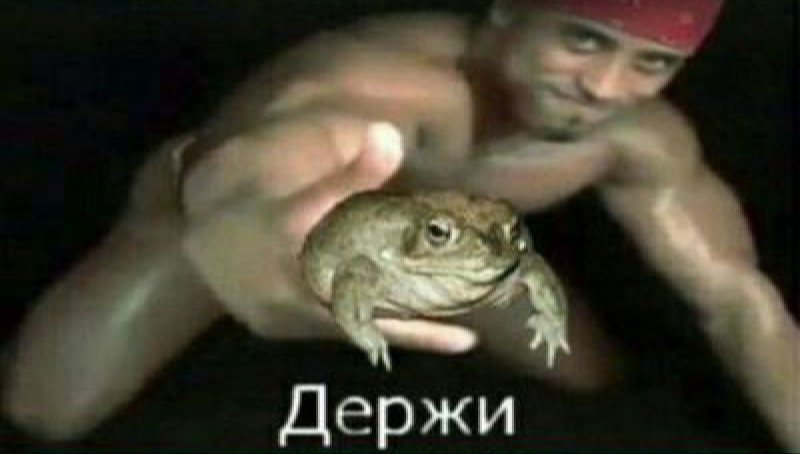 Созрел вопрос огурец