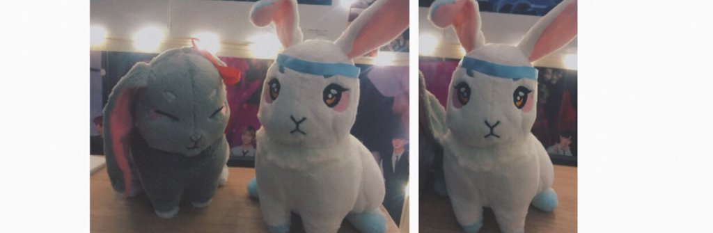 The Untamed Rabbit Plushies BLDrama Amino