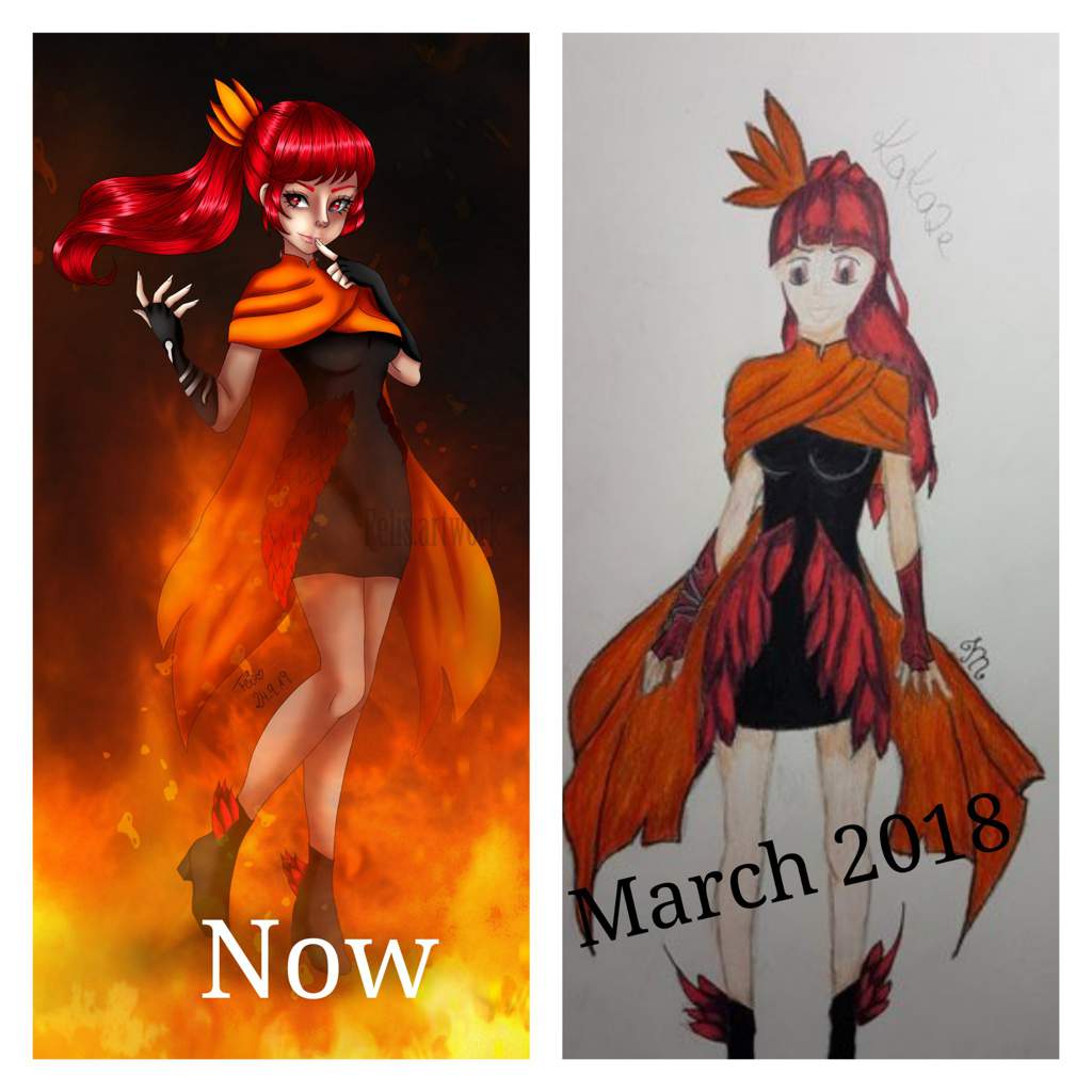 the resurrection of the phoenix Miraculous Amino