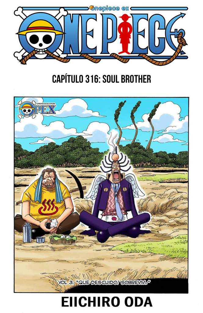 316 Wiki One Piece Brasil Amino