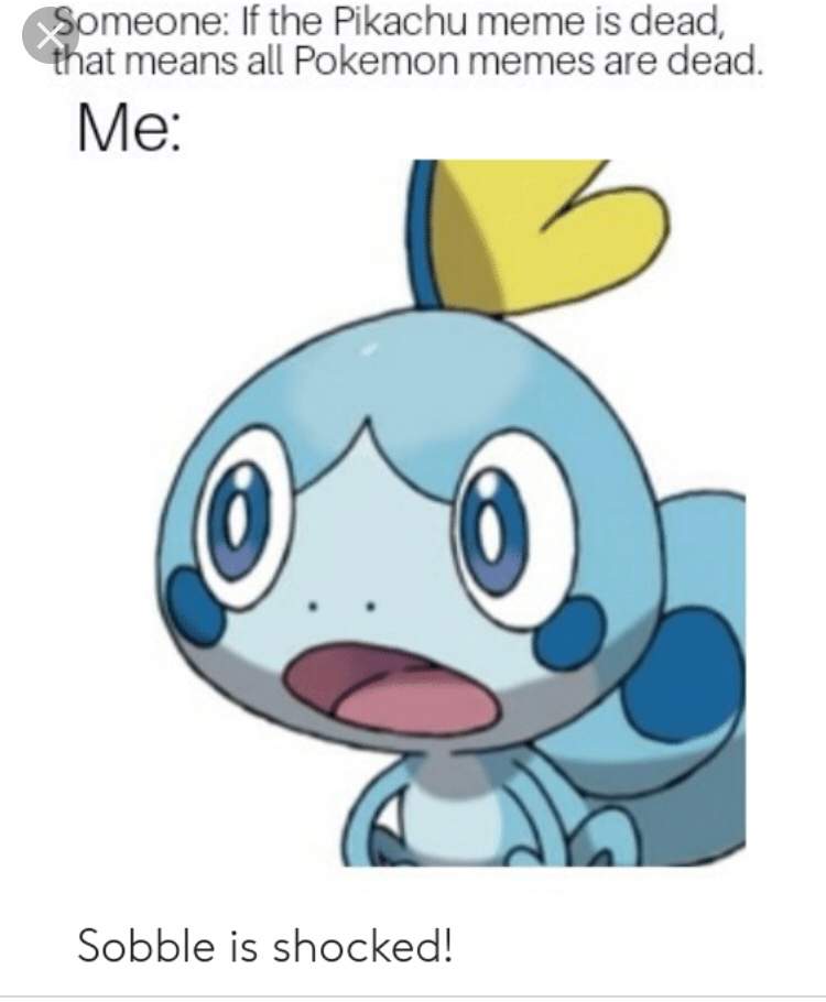 Pokemon Memes and Cursed Images (1) | Pokémon Amino