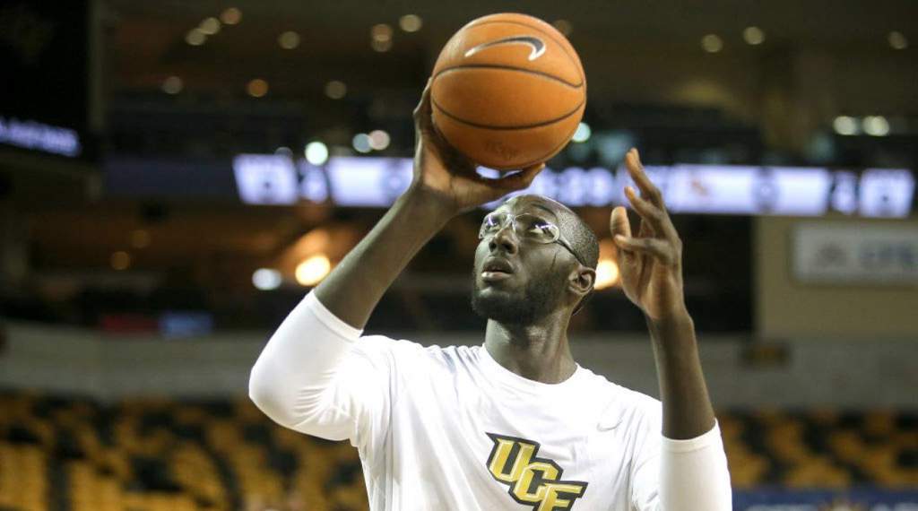 tacko fall wingspan