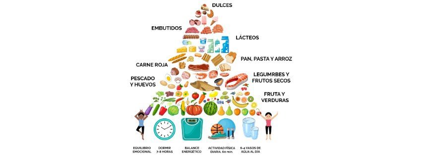 ¡Suga y Holly te enseñan la pirámide de alimentos y el