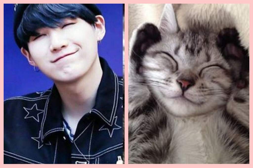 Times when Yoongi resembled cats | ARMY's Amino