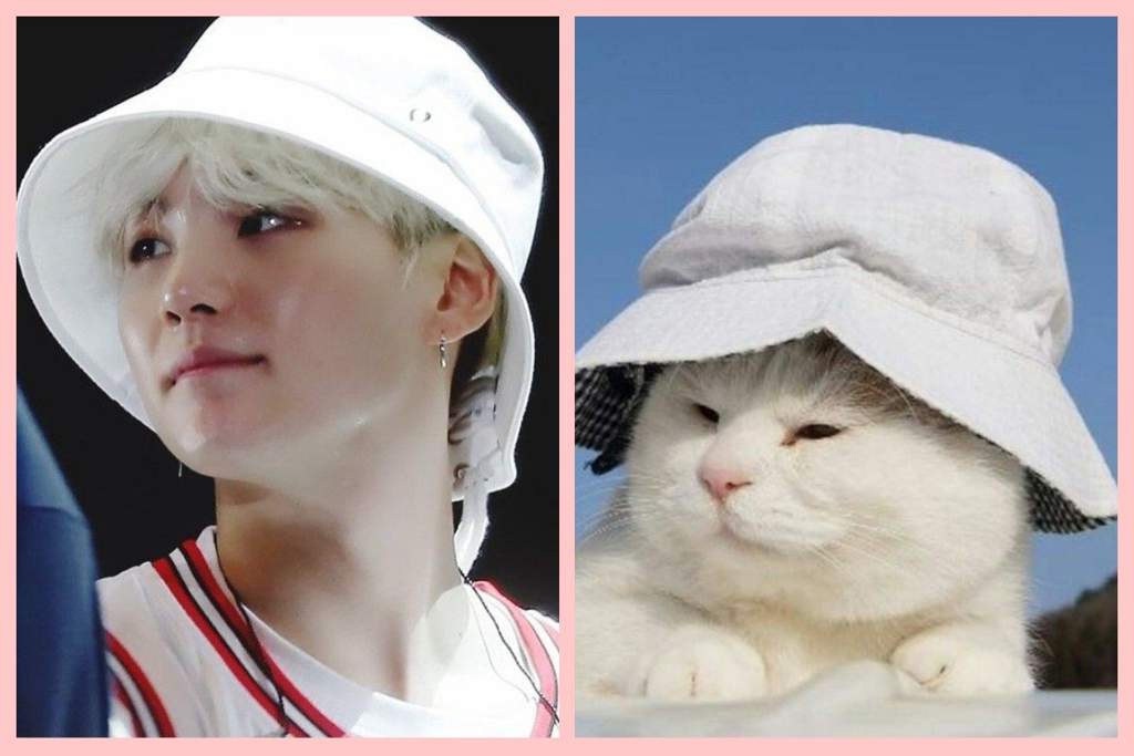 Times when Yoongi resembled cats | ARMY's Amino