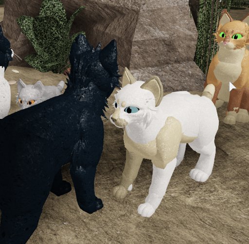 Vizstar Warriors Amino - roblox warrior cats ultimate edition morph ideas