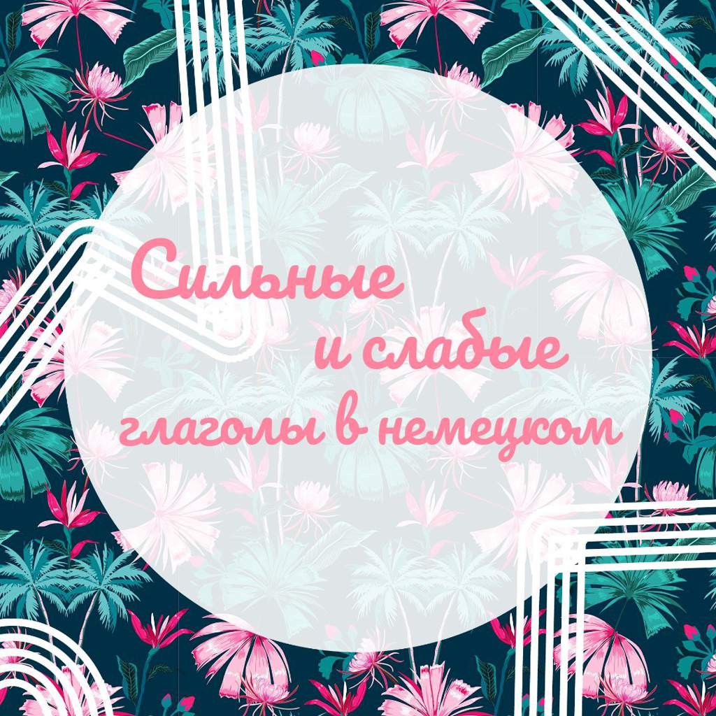 6bfd24923d0b0e1a669a6cccd9045b259ac09740r1 1080 1080v2 hq