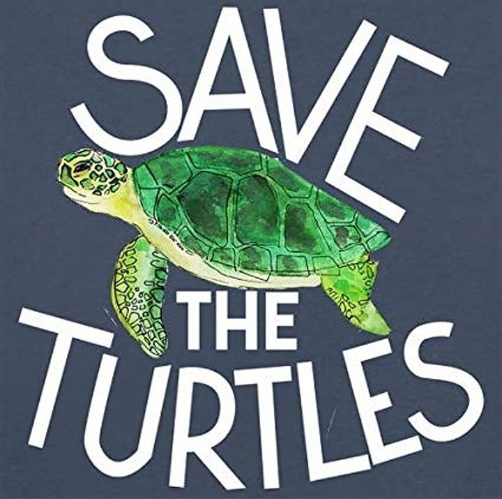 Help save the turtles! | Wiki | Strawberry And His Friends! Amino