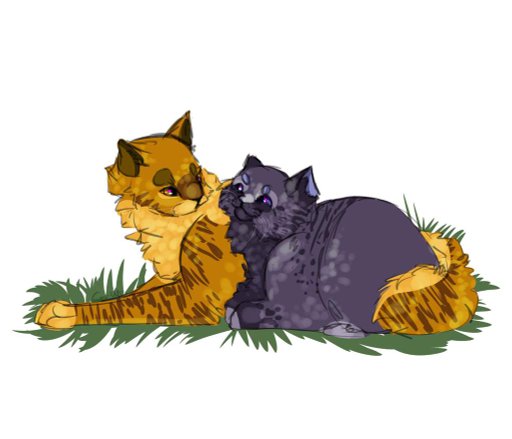 Коты воители картинки движущиеся