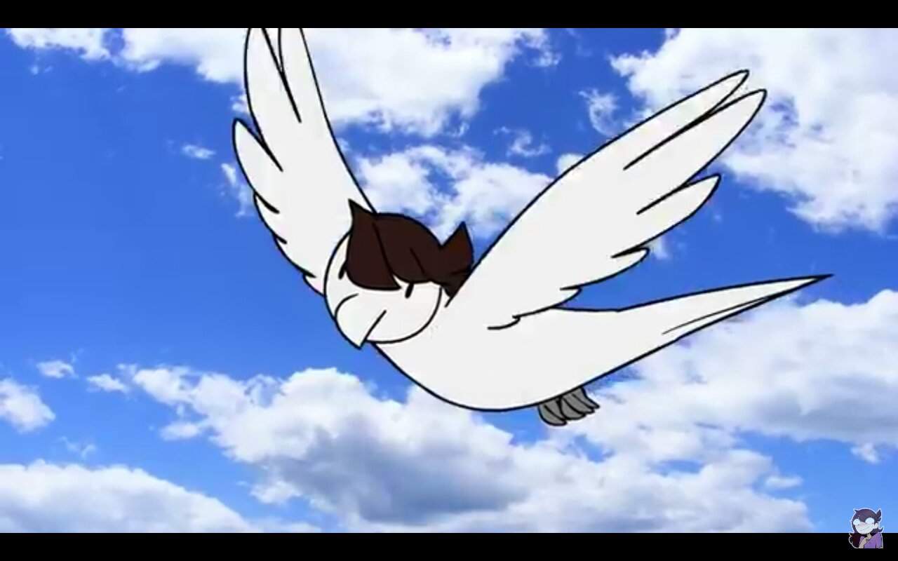 bird jaiden | Wiki | The Animation Squad Amino