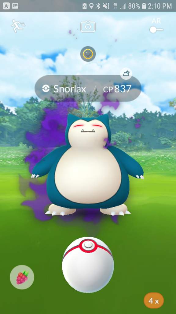 Shadow Snorlax Pokemon Go Amino