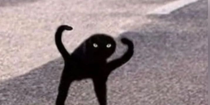 Ъуъ кот мем