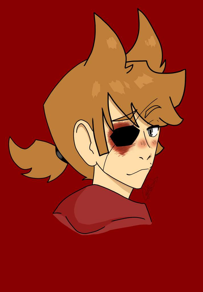 💕 ️Tord’s waifu ️💕 | Eddsworld Amino