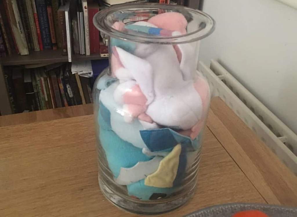 Rubber bands last longer when refrigerated Dank Memes Amino