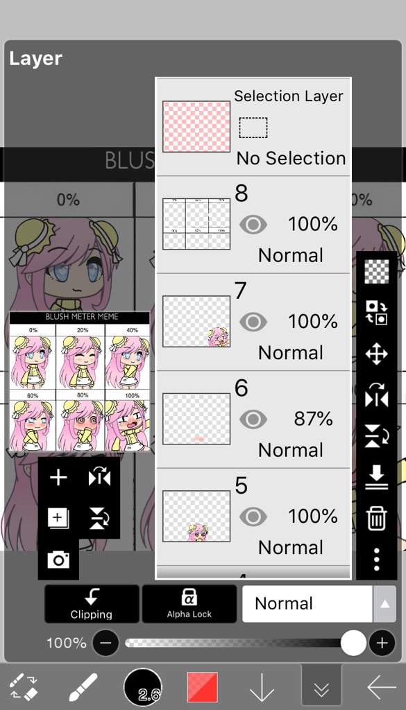 blush meeter