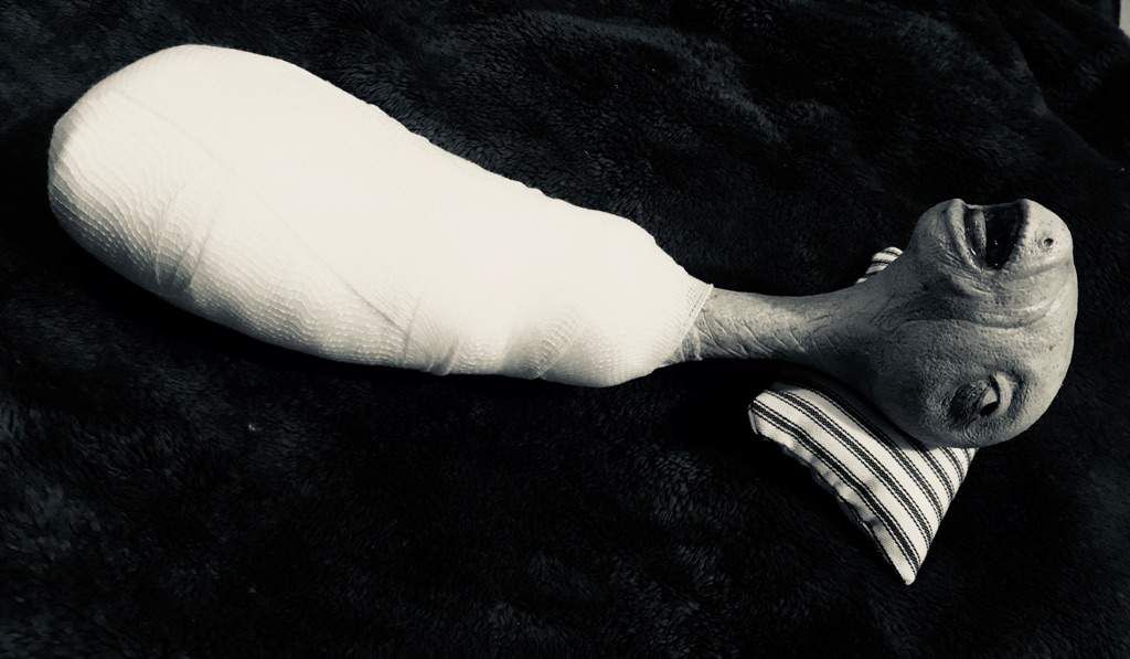 Eraserhead Baby’s Now Available Horror Amino