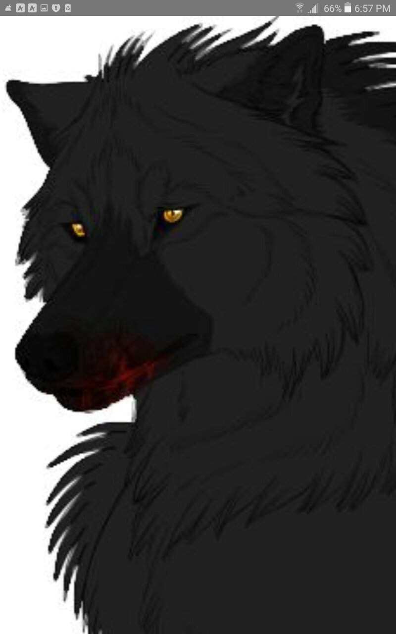 Tom (Omega) | Wiki | Werewolves Amino