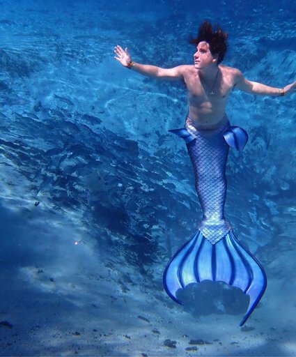 Koi the merman | Wiki | ∆Beautiful People∆ Amino