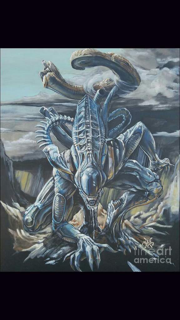 Evolution Of Alien Xenomorph Size Comparison 1979 202 vrogue.co