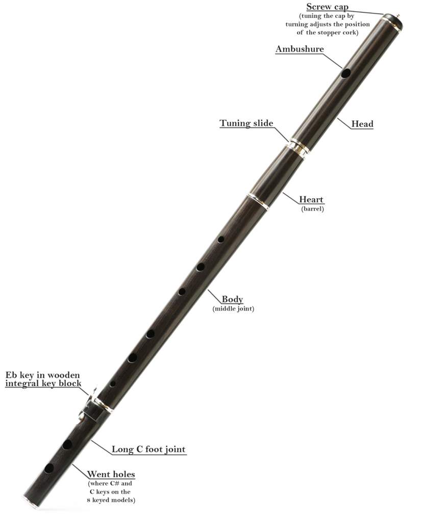 Pros and cons of playing the flute Wiki Band Geeks! Amino