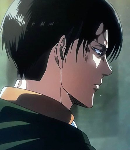 🔳 ️Captain Levi Ackerman ️🔳 | Wiki | Attack On Titan Amino