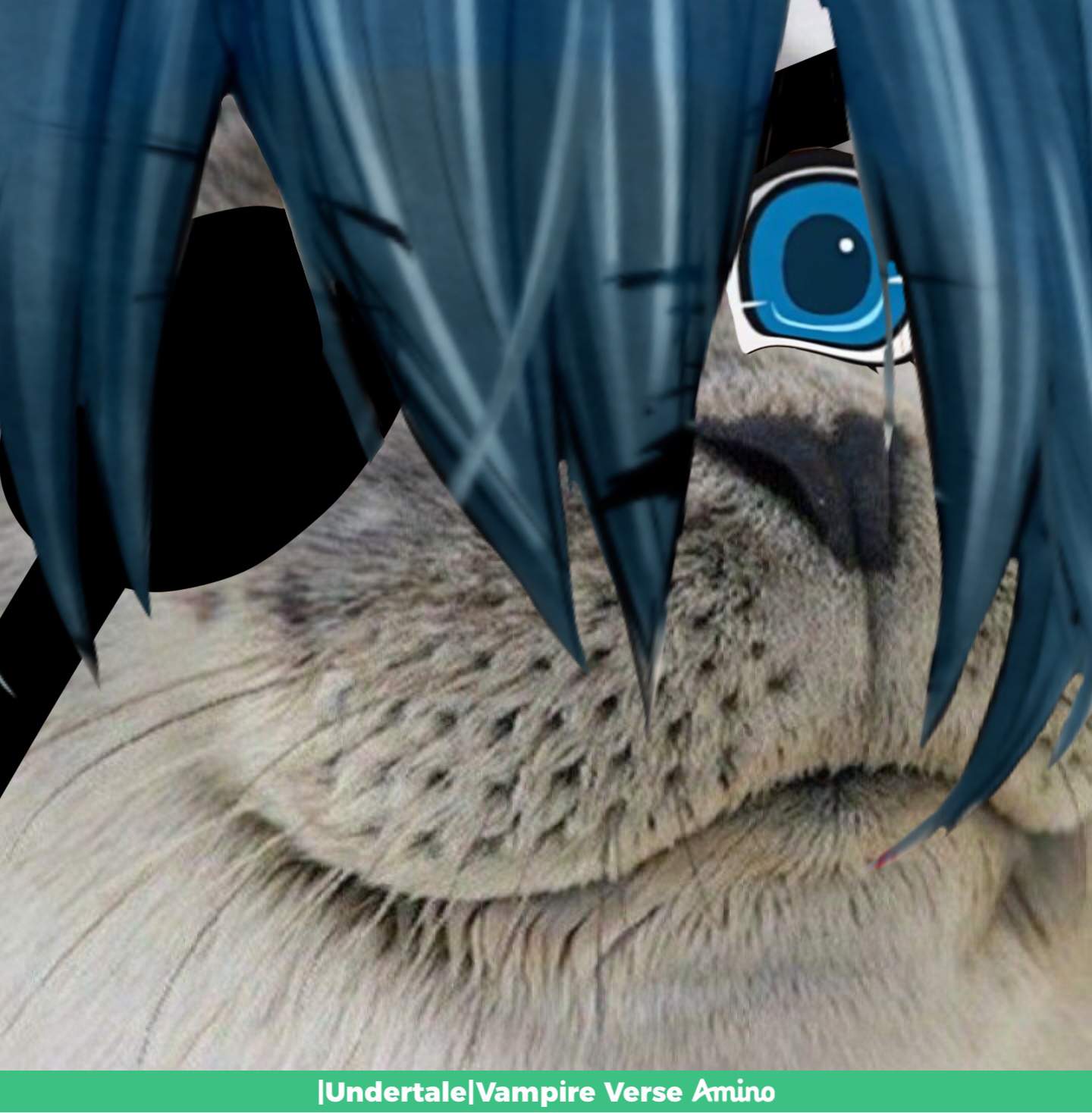 Seal Phantomhive | Vampire Verse x Black Butler Amino