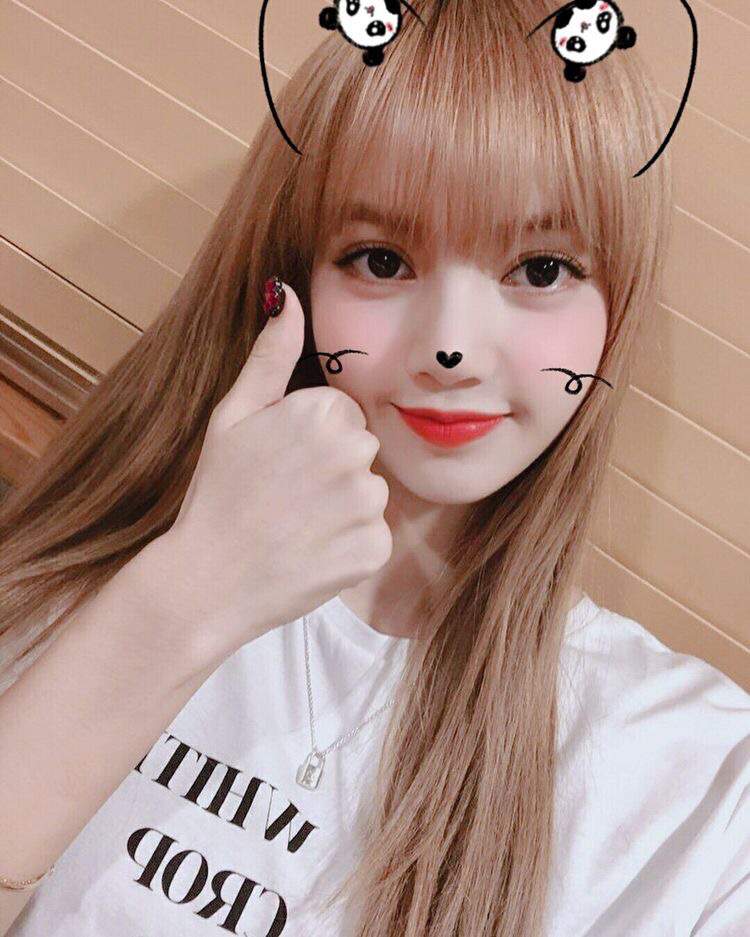 Lisa | Wiki | - ̗̀⸙͎۪۫.ᥱᥙph᥆ri(ᥲ) Amino